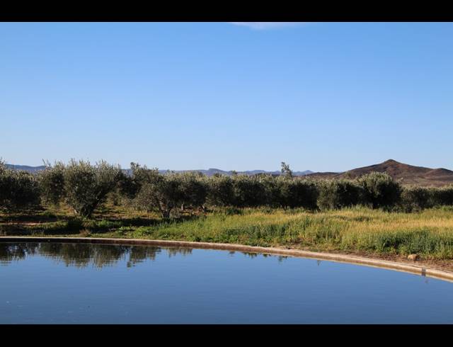 15HA FARM FOR SALE IN PRINCE ALBERT RURAL